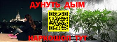 a pvp Шебекино
