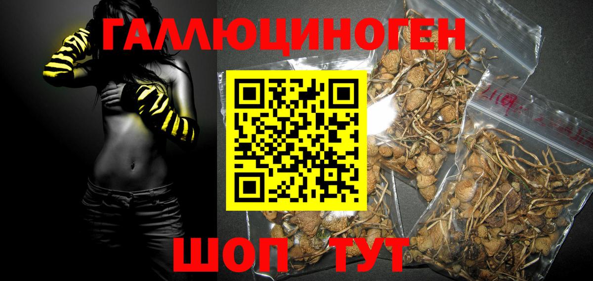 Галлюциногенные грибы MAGIC MUSHROOMS Канаш